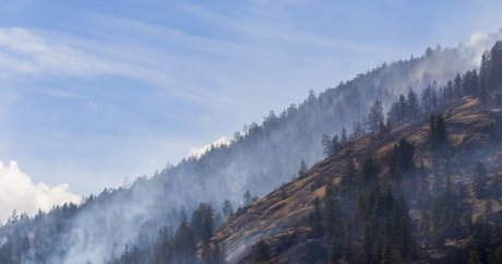 Insurers push for action as wildfires cause state of emergency in B.C.